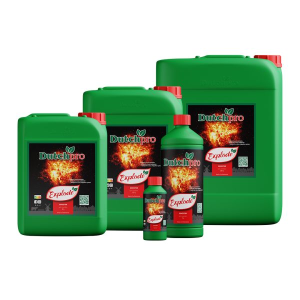 DutchPro Explode