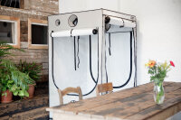 Homebox Ambient Q120