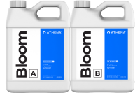 Athena Bloom A & B
