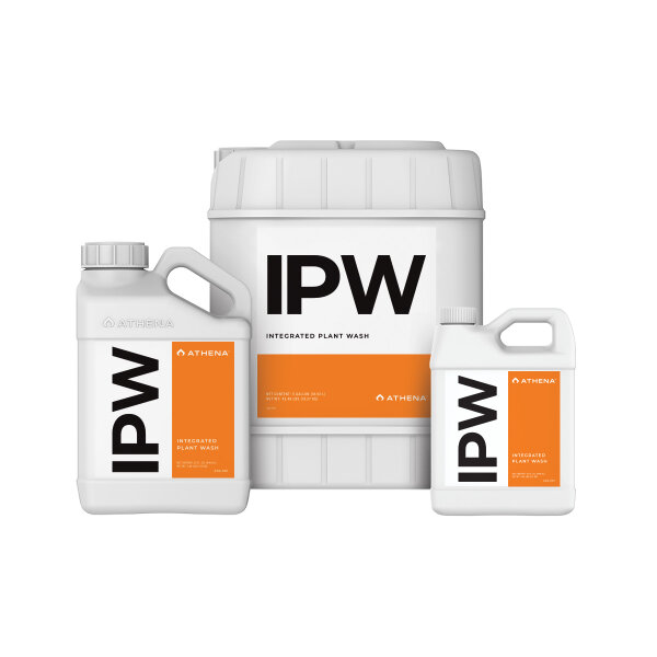 Athena IPW