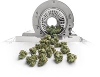 Sunflower Trimmer Automatic Trimmer L - Light 2.0