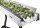 Sunflower Trimmer Conveyor IN