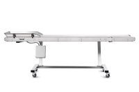 Sunflower Trimmer Conveyor Omni OUT