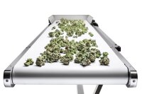 Sunflower Trimmer Conveyor Omni OUT