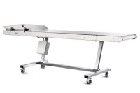 Sunflower Trimmer Conveyor Omni OUT