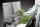 Sunflower Trimmer Bucker L